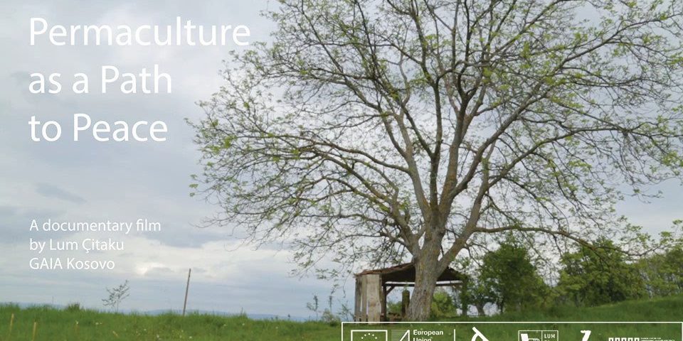 Permaculture as Path to Peace