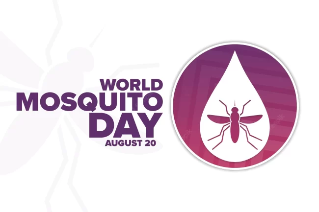 world-mosquito-day-august-20-holiday-concept-template-background-banner-card-poster-with-text-inscription-vector-eps10-illustration_287335-400