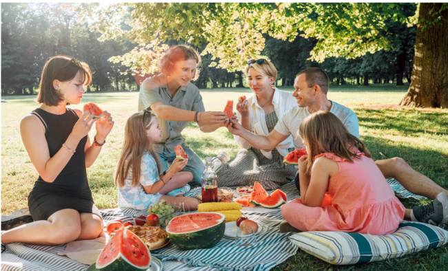 Familja ne pikik