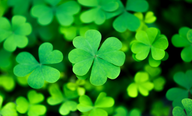 Dita e Shen Patrikut