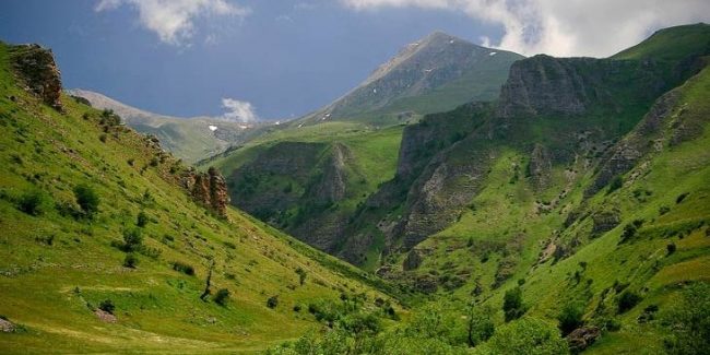Brezovica