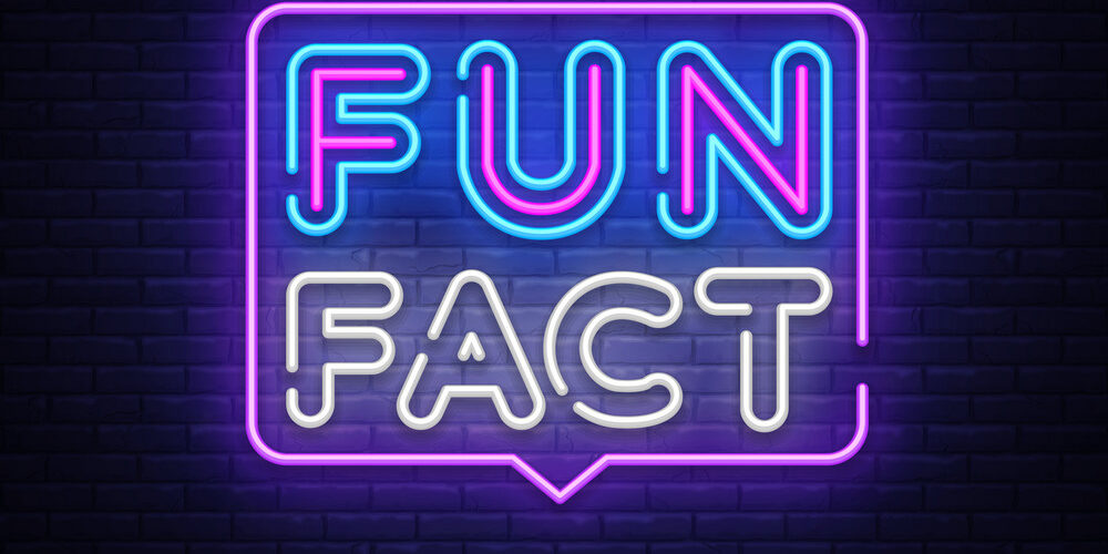 Fun Fact neon sign vector. Facts Design template neon sign, light banner, neon signboard, nightly bright advertising, light inscription. Vector illustration
