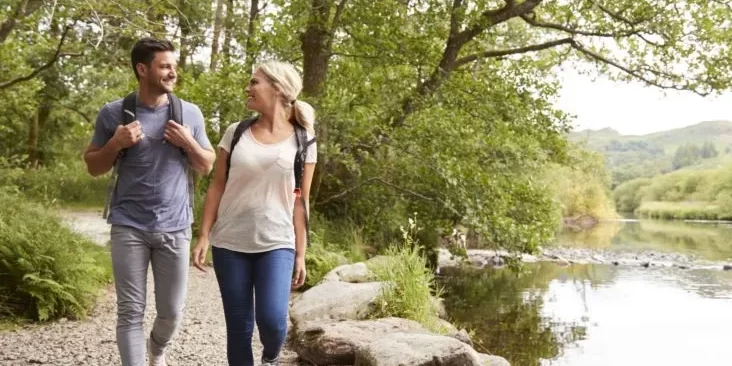 325323_2200-732×549